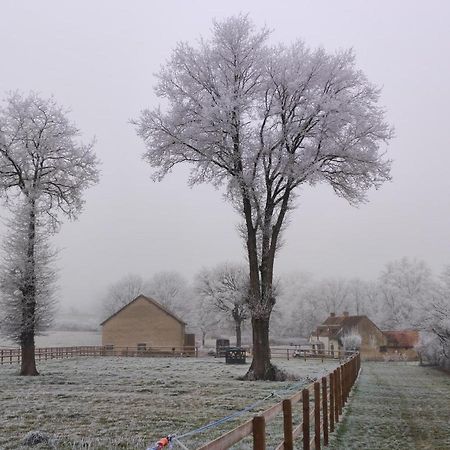 Willa Bienvenue A La Grenouillere Le Magny  Zewnętrze zdjęcie
