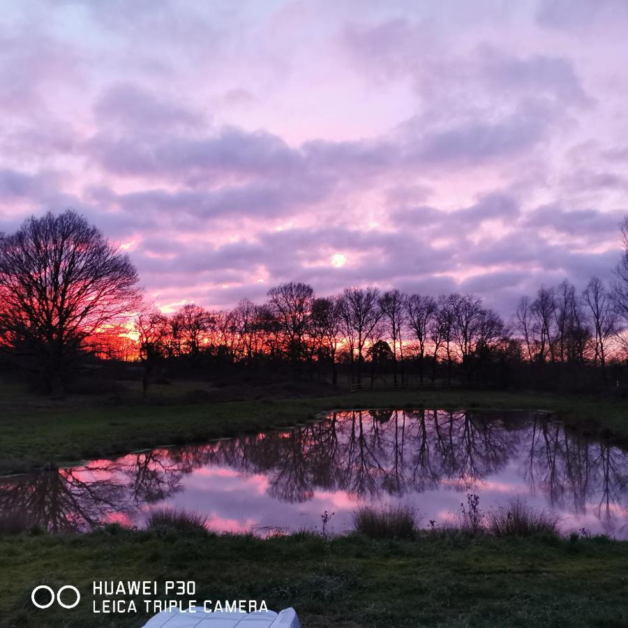 Willa Bienvenue A La Grenouillere Le Magny  Zewnętrze zdjęcie